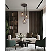 Globo Visilica Mateo  (Ø x V: 500 x 1.200 mm, E27, 40 W, Crna) | BAUHAUS