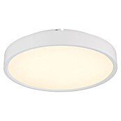 Globo LED stropna svjetiljka Jess  (57 W, Bijela, Ø x V: 390 x 77 mm) | BAUHAUS