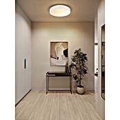 Globo LED stropna svjetiljka Jess  (57 W, Bijela, Ø x V: 390 x 77 mm) | BAUHAUS