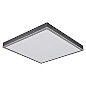 Globo LED panel Doro  (24 W, D x Š x V: 450 x 450 x 75 mm, Siva, Topla bijela) | BAUHAUS