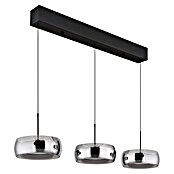 Globo LED viseća svjetiljka Livion  (30 W, Crna, D x Š x V: 850 x 200 x 1.200 mm) | BAUHAUS