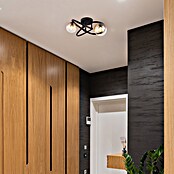 Globo LED stropna svjetiljka Tuberius  (3,5 W, Crna, G9) | BAUHAUS