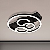 Globo LED stropna svjetiljka Darryl I  (40 W, D x Š x V: 350 x 330 x 88 mm, Crna, Crna, Topla bijela) | BAUHAUS