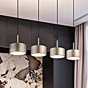 Globo Lámpara colgante LED redonda Raymond (40 W, Blanco cálido) | BAUHAUS