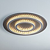Globo LED stropna svjetiljka Jayden  (60 W, Crna, Svijetlo siva, Topla bijela, Ø x V: 550 x 60 mm) | BAUHAUS