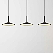 Globo LED viseća svjetiljka Lampone  (24 W, Crna, Neutralno bijelo) | BAUHAUS