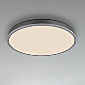 Globo LED panel Doro  (40 W, Siva, Topla bijela) | BAUHAUS