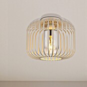 Globo Stropna svjetiljka Alfred  (40 W, Bež, E27) | BAUHAUS