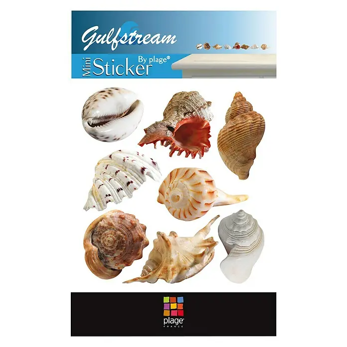 Vinilo de pared - Plástico, Conchas - Juego de pegatinas Gulfstream by plage con varias conchas marinas, perfecto para decorar superficies y añadir un toque marino.