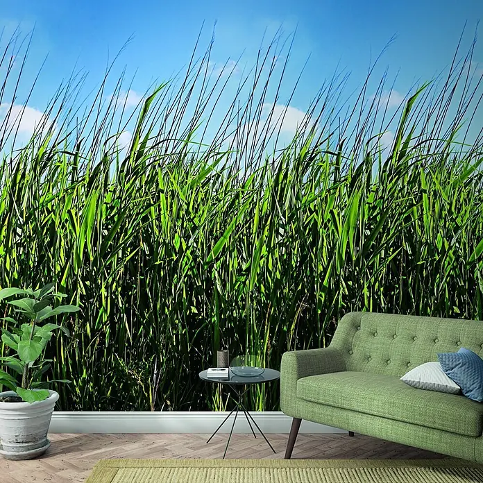 Marburg Smart Art Easy Fototapete Floral III - B x H: 159 mm x 270 cm, Vlies - Ein grünes Stoffsofa mit getufteter Rückenlehne steht in einem Raum mit Naturwandbild, neben einem Beistelltisch.