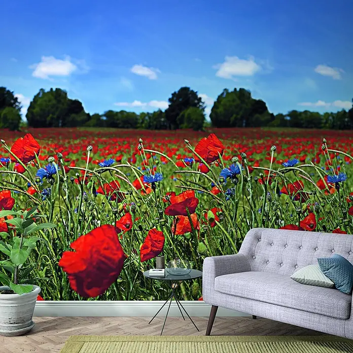 Marburg Smart Art Easy Fototapete Floral II - B x H: 159 mm x 270 cm, Vlies - Lebendige Wandtapete mit einem riesigen Mohnfeld voller roter Mohnblumen und blauer Kornblumen unter blauem Himmel, die einen Raum aufwertet.
