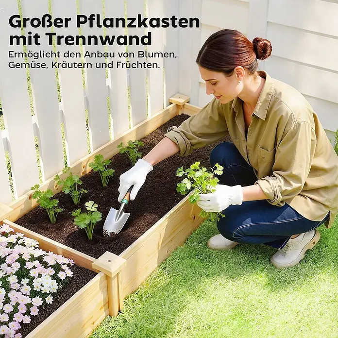 Outsunny Hochbeet - Holz, Naturholz - Großer Pflanzkasten aus hellem Holz mit Trennwand, beim Bepflanzen mit Blumen und Gemüse gezeigt.