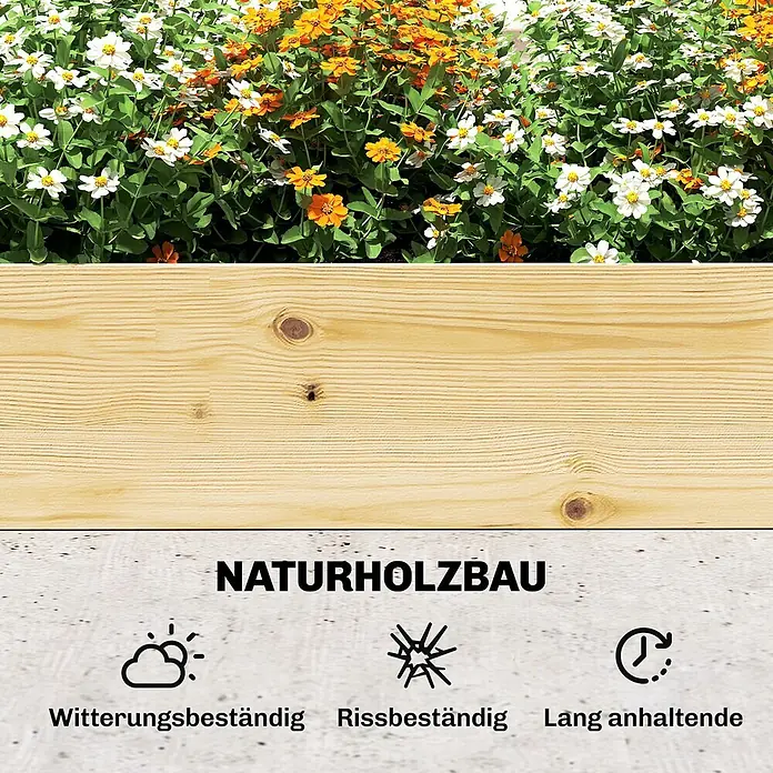 Furnicato Hochbeet - 240 x 125 x 102 cm, Holz, Naturholz - Helle Naturholzdiele mit sichtbarer Maserung und Ästen, für Naturholzbau. Eigenschaften: witterungsbeständig, rissbeständig und langlebig.