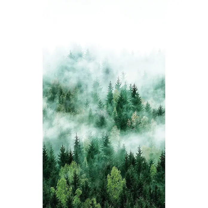 Marburg Smart Art Easy Fototapete Wald - B x H: 159 mm x 270 cm, Vlies, Grün - Dichter Nadelwald, umhüllt von ätherischem Nebel, mit Bäumen in verschiedenen Grüntönen. Der Nebel schafft eine ruhige, geheimnisvolle Atmosphäre.