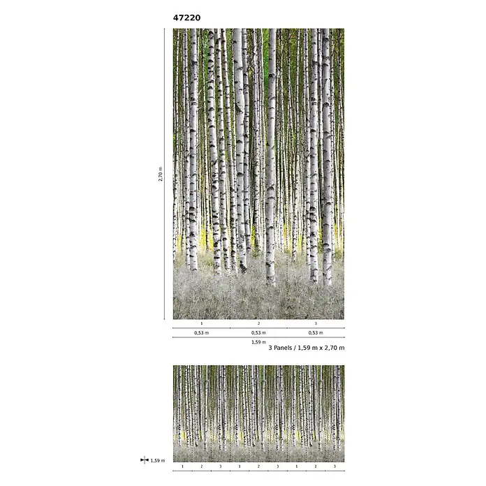 Marburg Smart Art Easy Fototapete Wald - B x H: 159 mm x 270 cm, Vlies - Wandtapete mit Birkenwaldmotiv, 1,59 m x 2,70 m groß, bestehend aus 3 Bahnen.