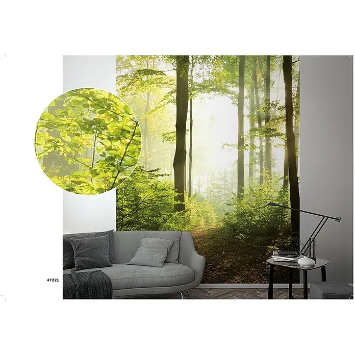 Marburg Smart Art Easy Fototapete Wald I - B x H: 212 x 270 cm, Vlies - Eine Wandtapete mit einer nebligen Waldszene aus hohen Bäumen und grünem Laub, an einer Wohnzimmerwand angebracht.