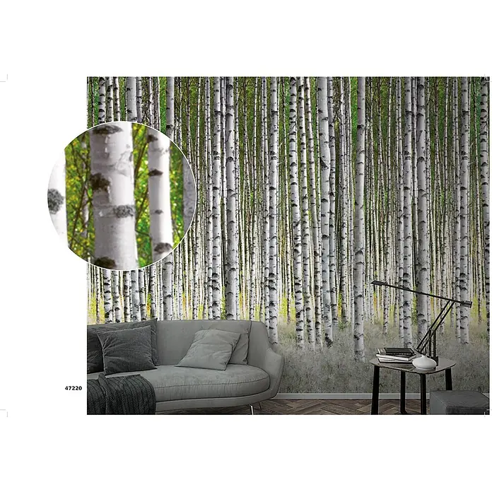 Marburg Smart Art Easy Fototapete Wald - B x H: 159 mm x 270 cm, Vlies - Birkenwald-Tapete mit weißen Stämmen und grünen Blättern, an einer Wand in einem modernen Wohnzimmer mit Sofa und Beistelltisch.