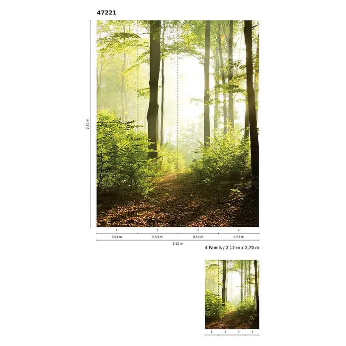 Marburg Smart Art Easy Fototapete Wald I - B x H: 212 x 270 cm, Vlies - Großes Wandbild eines sonnigen, nebligen Waldes mit hohen Bäumen und Pfad, bestehend aus 4 Bahnen von 2,12 x 2,70 m.