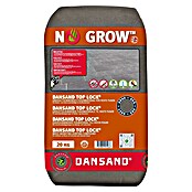 Dansand Fester Fugensand Top Lock® (20 kg, Fugenbreite: 3 mm - 10 mm) | BAUHAUS