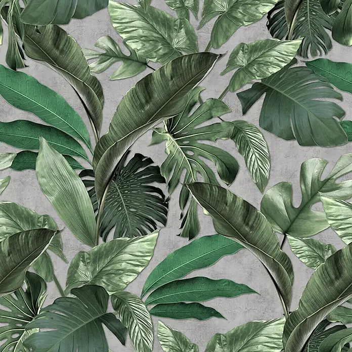 Marburg Loft Superior Fototapete Urban Jungle - B x H: 159 mm x 270 cm, Vlies, Grün-Grau - Ein Muster aus verschiedenen grünen Tropenblättern, darunter Monstera- und Bananenblätter, die ein üppiges, natürliches Design bilden.