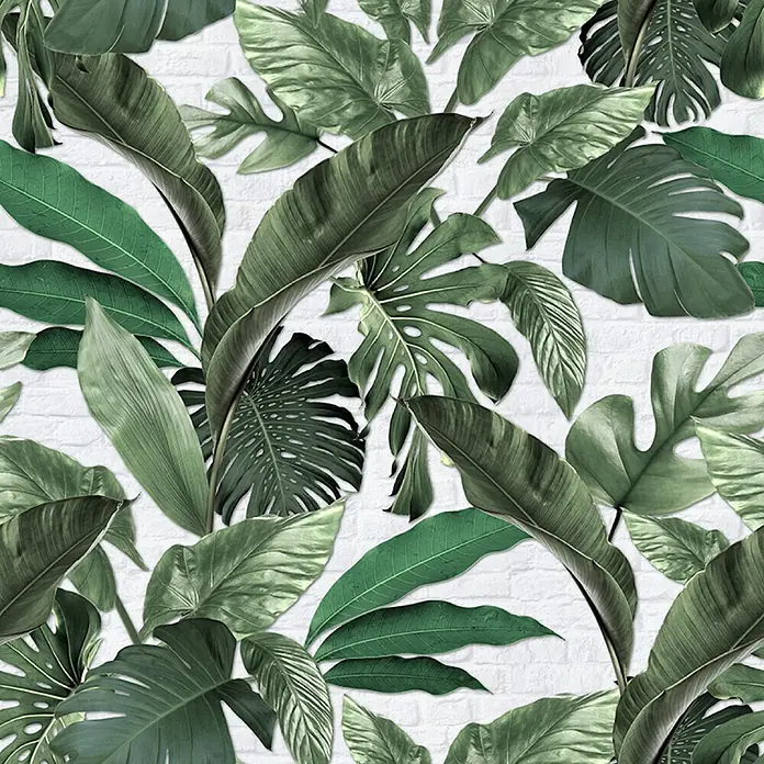 Marburg Loft Superior Fototapete Urban Jungle - B x H: 159 mm x 270 cm, Vlies, Grün-Weiß - Tropische grüne Blätter, darunter Monstera und Bananenblätter, bilden ein üppiges Muster auf einer weißen Ziegelwand.