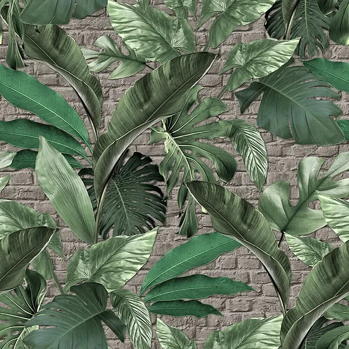 Marburg Loft Superior Fototapete Urban Jungle - B x H: 159 mm x 270 cm, Vlies, Grün-Greige - Grünes tropisches Blättermuster auf grauem Ziegelsteinwandhintergrund.