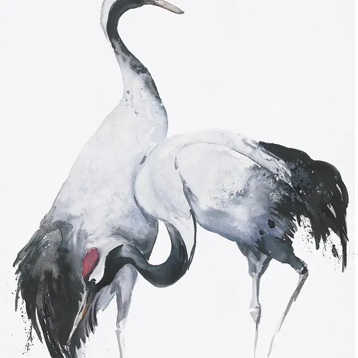 Marburg Kumano Fototapete Bird Illustration III - B x H: 159 mm x 270 cm, Vlies - Aquarell-Kunstwerk von zwei Kranichen in Schwarz, Weiß und Grau, mit einem subtilen roten Detail.