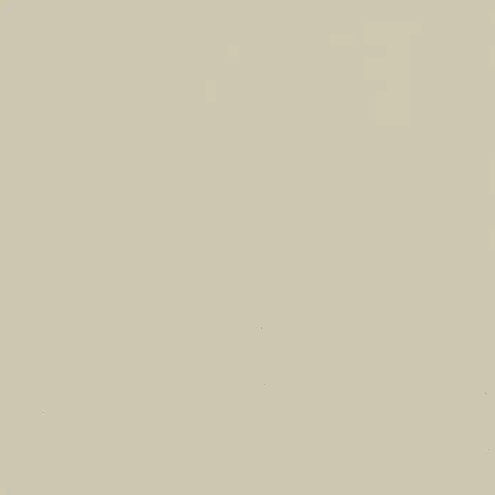 Marburg Vliestapete Novamur Naomi Uni I - Creme, Uni, 10,05 x 0,53 m - Helle beige Oberfläche mit subtiler feiner Textur.