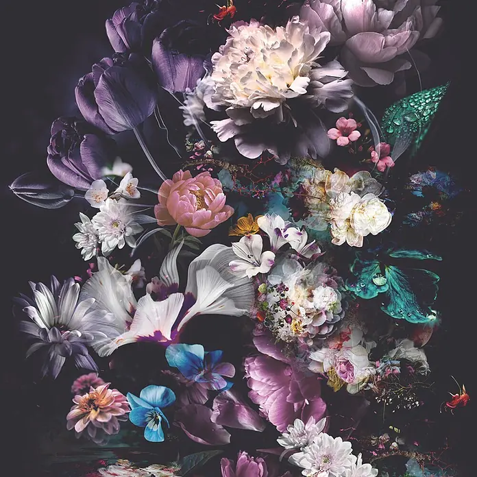 Marburg Smart Art Easy Fototapete Floral II - B x H: 212 x 270 cm, Vlies - Dunkles, romantisches Blumenbouquet mit lila Tulpen, rosa Pfingstrosen und gemischten weißen und blauen Blüten.