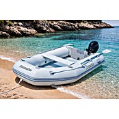 Protender Lancha neumática con motor fueraborda 5 HP (Apto para: 3 personas, Carga útil: 450 kg)