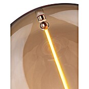 Paulmann LED svetlobni vir Floating G95 Gold  (E27, Toplo bela, 140 lm, 2,8 W) | LED luči | Svetlila | Elektro in svetila | Izdelki | BAUHAUS