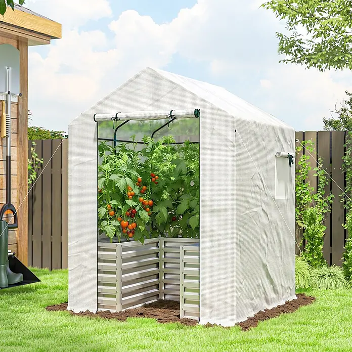 Furnicato Gewächshaus - 141 x 190 cm, Material Seitenwand: Stahl, 14 mm, weiß - Weißes begehbares Gewächshaus im Garten, mit reifen Tomaten in Metall-Hochbeeten.