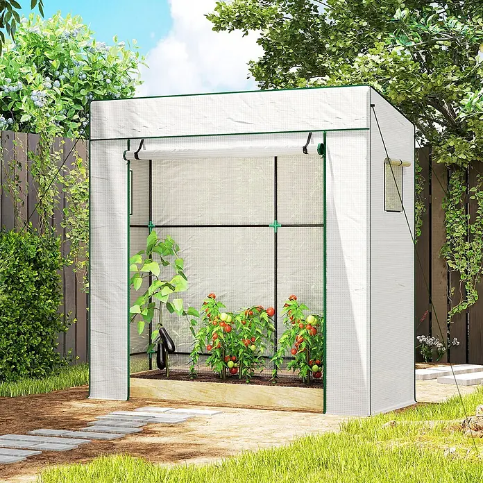 Furnicato Gewächshaus - 77 x 196 cm, Material Seitenwand: Stahl, 14 mm, weiß - Kompaktes weißes Gewächshaus mit grünem Rand in einem Garten, in dem Tomaten und Auberginen wachsen.