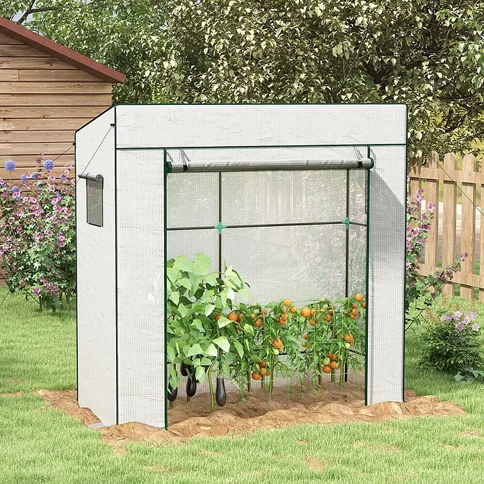 Furnicato Gewächshaus - 77 x 196 cm, Material Seitenwand: Stahl, 14 mm, weiß - Weißes begehbares Gewächshaus mit grünem Rand, das Auberginen und Tomaten in einem sonnigen Garten beherbergt.