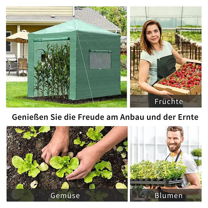 Outsunny Gewächshaus - 178 x 238 cm, Material Seitenwand: Kunststoff, 0,6 mm, Grün - Grünes begehbares Gewächshaus im Garten mit Maispflanzen darin. Ideal für Anbau und Ernte verschiedener Pflanzen.