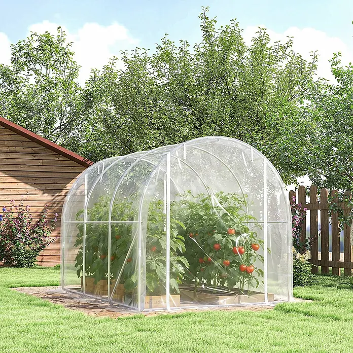 Outsunny Gewächshaus - 195 x 295 cm, Material Seitenwand: Kunststoff, 0,6 mm, Transparent - Transparentes Gewächshaus mit weißem Rahmen, gefüllt mit roten Tomatenpflanzen, in einem grünen Garten.
