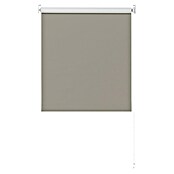 Expo Ambiente Zatemnitveni rolo  (Š x V: 60 x 190 cm, Univerzalen) | 6443 - Textil-Rollos | HDDA - Fenster-Sonnenschutz | HDD - Sonnenschutz | HD - Ambiente | H - Innendeko/Farben | BAUHAUS
