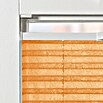 Expo Ambiente Plissee (B x H: 120 x 130 cm, Orange)