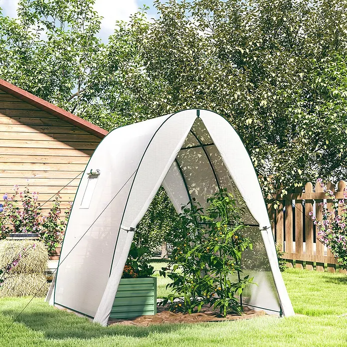 Outsunny Gewächshaus - 180 x 180 cm, Material Seitenwand: Kunststoff, 0,3 mm, Grün - Kleines, bogenförmiges weißes Mini-Gewächshaus mit grünem Rand, schützt Tomatenpflanzen im Garten neben einem Holzschuppen.