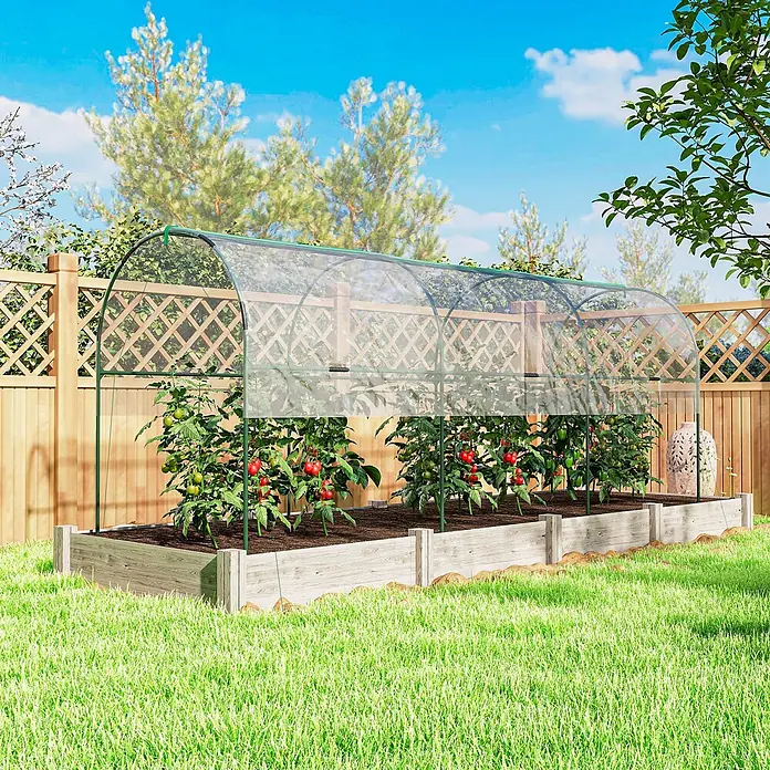 Furnicato Gewächshaus - Außenmaß inkl. Dachüberstand (B x T): 120 x 400 cm, Material Seitenwand: Edelstahl, 14 mm, silber - Durchsichtiges Tunnel-Gewächshaus mit grünem Rahmen über Hochbeeten, schützt Tomatenpflanzen im Garten.