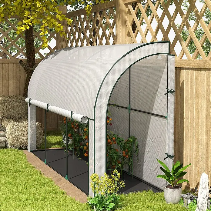 Outsunny Gewächshaus - 200 x 80 cm, Material Seitenwand: Kunststoff, 0,3 mm, Dunkelgrau - Gewölbtes Mini-Gewächshaus mit transparenter Abdeckung und grünem Rahmen, steht im Garten mit Tomaten und aufgerollter Vorderseite.