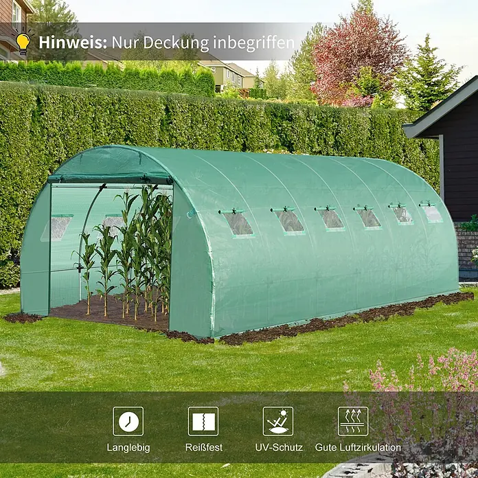 Furnicato Gewächshaus - Außenmaß inkl. Dachüberstand (B x T): 300 x 600 cm, Material Seitenwand: Kunststoff, 14 mm, silber - Grünes Folien-Gewächshaus im Garten mit Maispflanzen und aufrollbaren Fenstern.