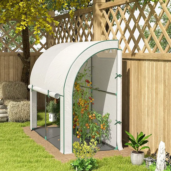 Furnicato Gewächshaus - 80 x 200 cm, Material Seitenwand: Kunststoff, 14 mm, weiß - Weißes Mini-Gewächshaus mit grünem Rahmen, in dem im Garten leuchtend rote und gelbe Tomaten wachsen.
