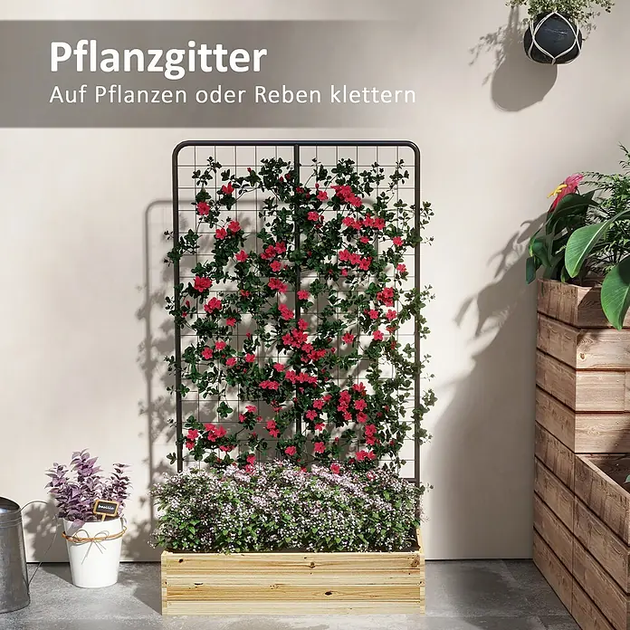 Furnicato Hochbeet - 145 x 38 x 145 cm, Verbundwerkstoff, Naturholz - Großes schwarzes Metall-Pflanzgitter mit roten Kletterpflanzen in einem Holzpflanzgefäß.