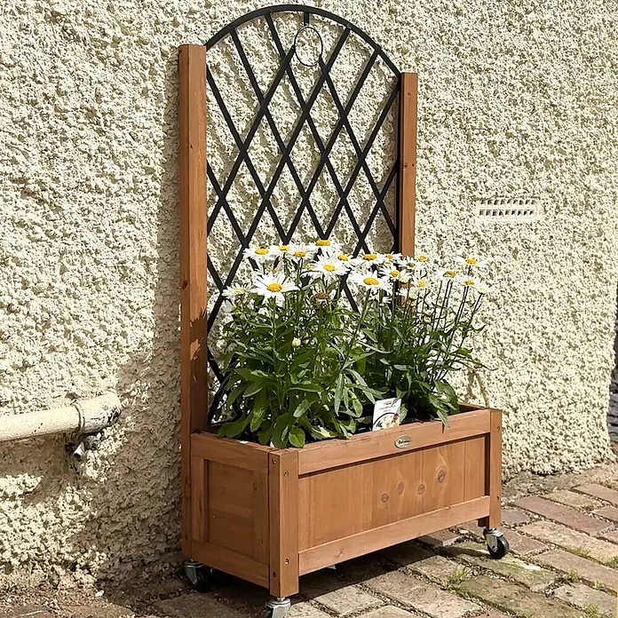 Outsunny Hochbeet - Stahl, Braun - Brauner Blumenkasten aus Holz auf Rollen mit schwarzem Metallspalier, gefüllt mit weißen Gänseblümchen.