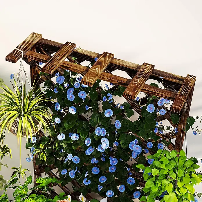 Furnicato Hochbeet - 64 x 33 x 122 cm, Holz, Verkohlt - Dunkelbraunes Holzrankgitter, bedeckt mit blauen Prunkwinden und Grünpflanzen, mit einem Hängepflanzer.