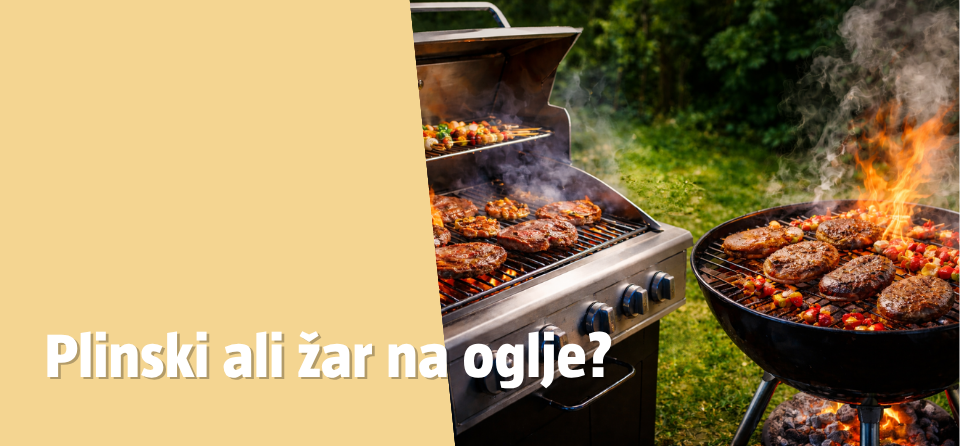 Plinski ali žar na oglje?