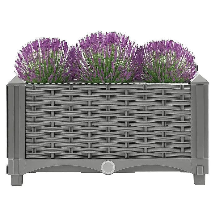Furnicato Hochbeet - 40 x 40 x 23 cm, Kunststoff, Hellgrau - Grauer Pflanzkasten aus Rattan-Optik Kunststoff mit lila Pflanzen.