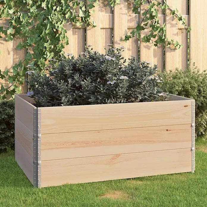 Furnicato Hochbeet - 120 x 80 x 19 cm, Holz, Braun - Helles Holz-Hochbeet gefüllt mit Grünpflanzen und kleinen weißen Blüten, auf Gras stehend.