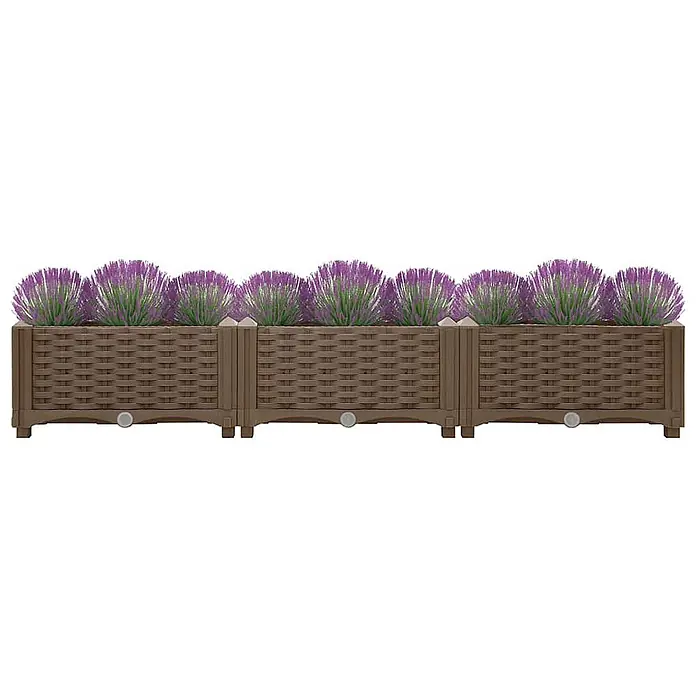 Furnicato Hochbeet - 40 x 120 x 23 cm, Kunststoff, Braun - Drei miteinander verbundene braune Pflanzkästen in Rattan-Optik, gefüllt mit lila Kugelblumen.